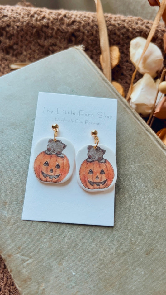 Little Pumpkin Kitty